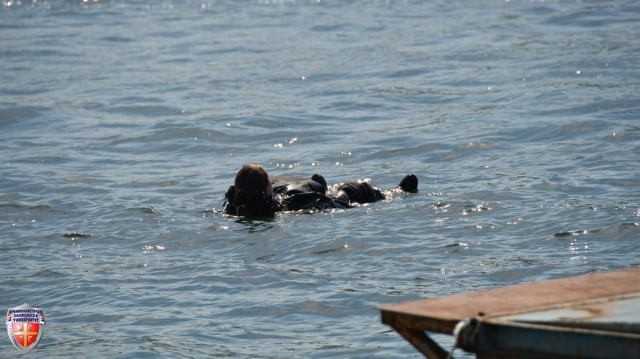DSC_3322~0.JPG